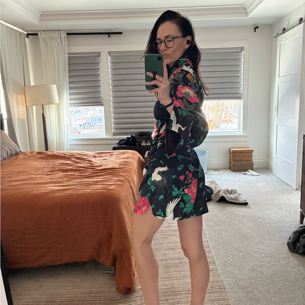 Zara Chinese Style Mini Dress - Picture 2 of 7